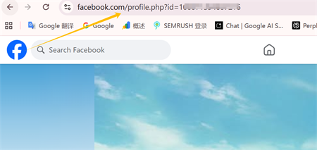 link-ul profilului Facebook